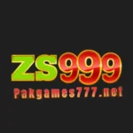 Zs999 Feature image