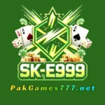 SK-E999